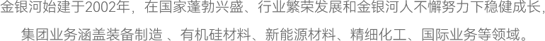 金銀河始建于2002年，在國(guó)家蓬勃興盛、行業(yè)繁榮發(fā)展和金銀河人不懈努力下穩(wěn)健成長(zhǎng)，
集團(tuán)業(yè)務(wù)涵蓋裝備制造 、有機(jī)硅材料、新能源材料、精細(xì)化工、國(guó)際業(yè)務(wù)等領(lǐng)域。